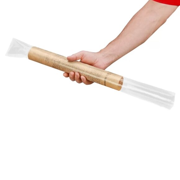 20 Bags  Poster Sleeves Industrial Poly Bags - 2 Mil, 3" x 26" - - Picture 1 of 5